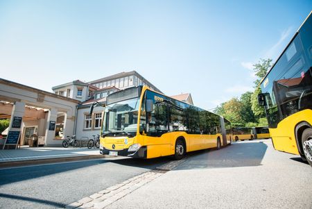 Zwei gelbe Busse der Dresdner Verkehrsbetriebe